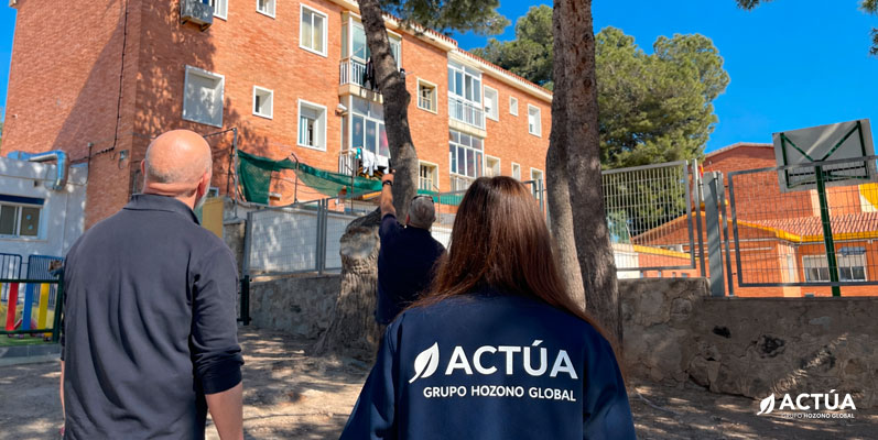 El Ayuntamiento de Cartagena revisa el arbolado de los centros escolares