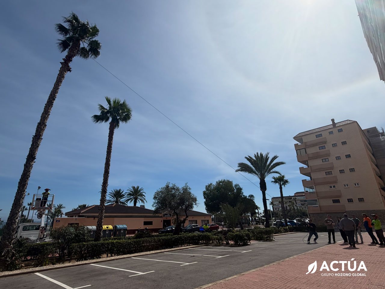 Profesionales de Actúa se forman en biomecánica y gestión de riesgos de palmeras Profesionales de Actúa se forman en biomecánica y gestión de riesgos de palmeras