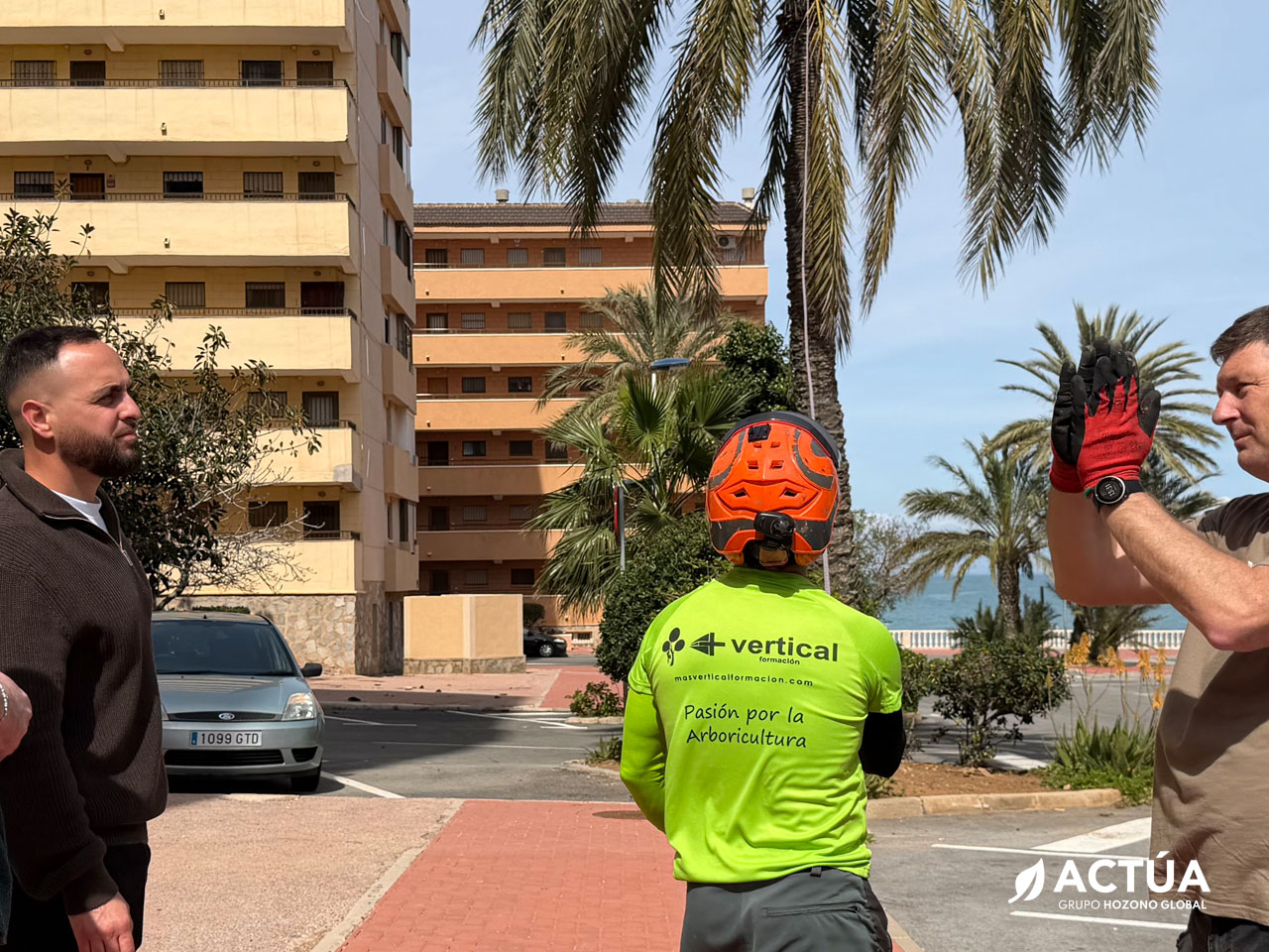 Profesionales de Actúa se forman en biomecánica y gestión de riesgos de palmeras Profesionales de Actúa se forman en biomecánica y gestión de riesgos de palmeras