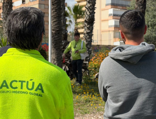 Profesionales de Actúa se forman en biomecánica y gestión de riesgos de palmeras