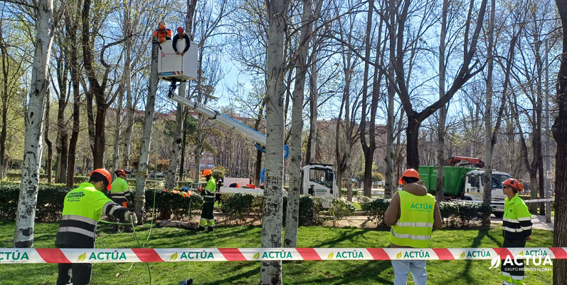 Actúa forma en Torrejón de Ardoz a once alumnos en técnicas de arboricultura moderna