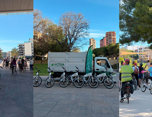 Benidorm lanza un programa de actividades ambientales para fomentar la biodiversidad urbana