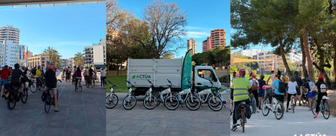 Benidorm lanza un programa de actividades ambientales para fomentar la biodiversidad urbana