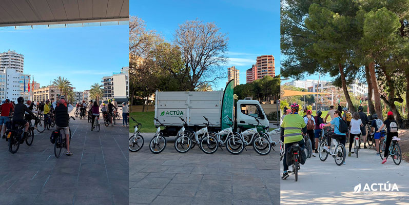 Benidorm lanza un programa de actividades ambientales para fomentar la biodiversidad urbana
