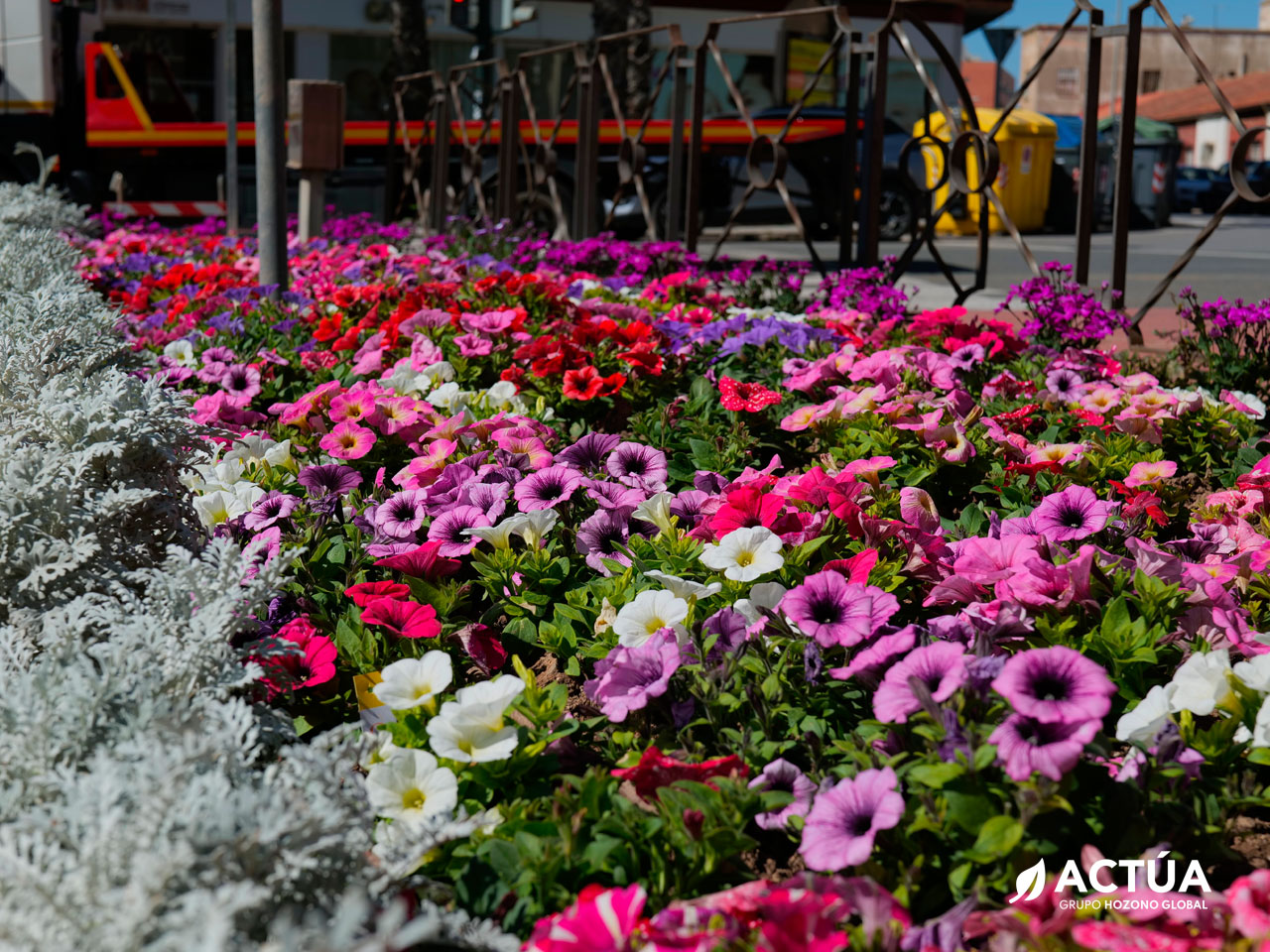 Cartagena luce sus mejores galas con 30.000 flores para su Semana Santa Cartagena luce sus mejores galas con 30.000 flores para su Semana Santa