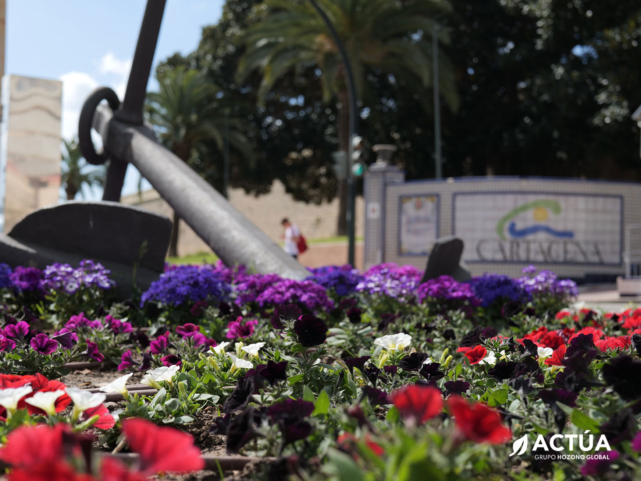 Cartagena luce sus mejores galas con 30.000 flores para su Semana Santa Cartagena luce sus mejores galas con 30.000 flores para su Semana Santa