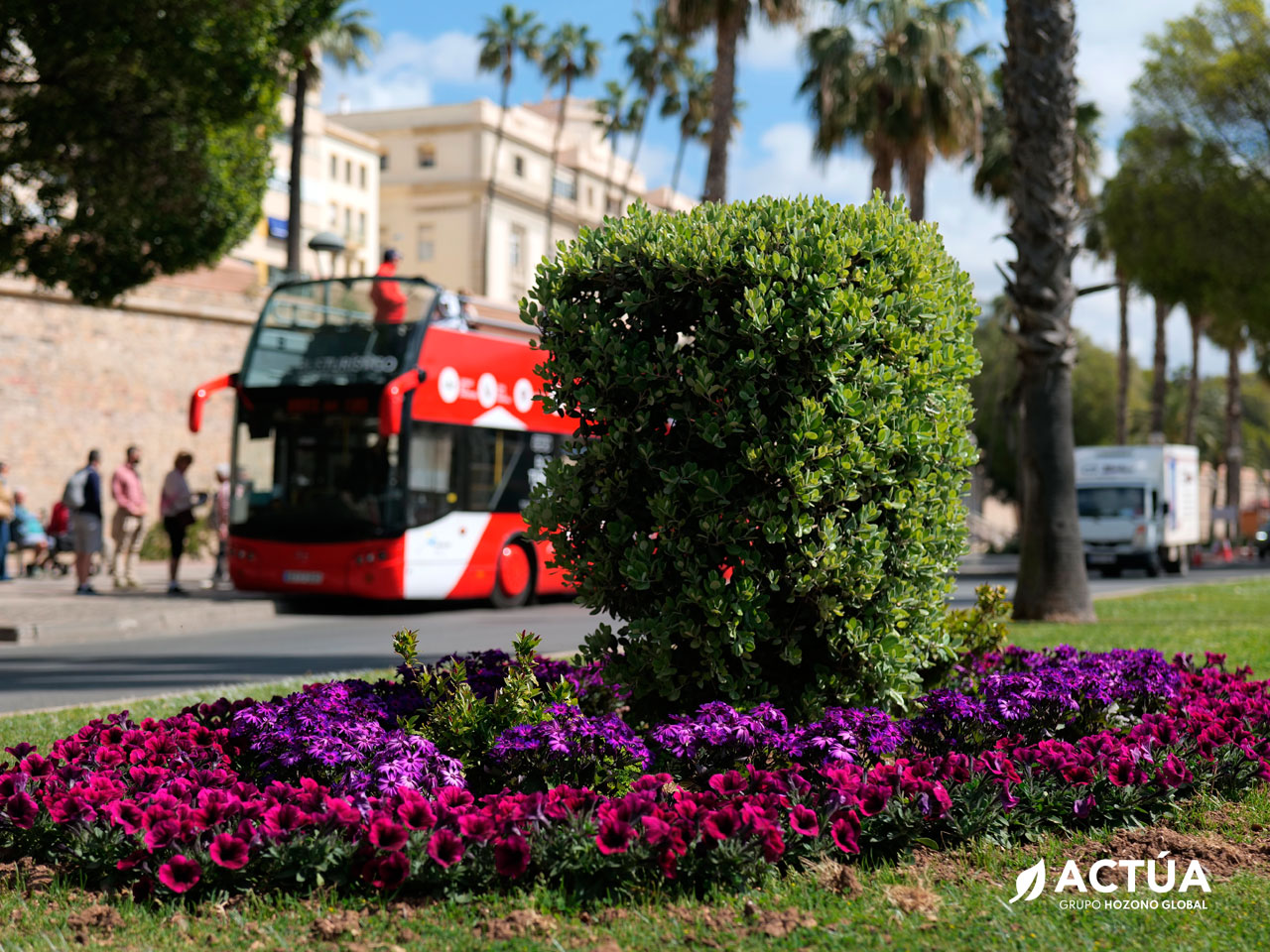 Cartagena luce sus mejores galas con 30.000 flores para su Semana Santa Cartagena luce sus mejores galas con 30.000 flores para su Semana Santa