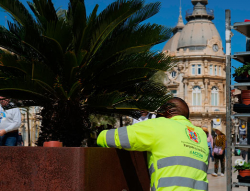 Cartagena luce sus mejores galas con 30.000 flores para su Semana Santa