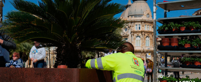 Cartagena luce sus mejores galas con 30.000 flores para su Semana Santa