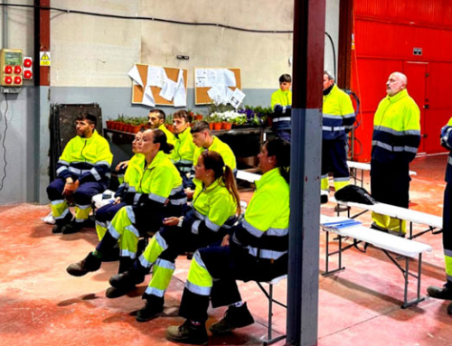 Profesionales de Actúa de la provincia de Alicante se forman en el uso seguro de maquinaria de jardinería y trabajos en altura