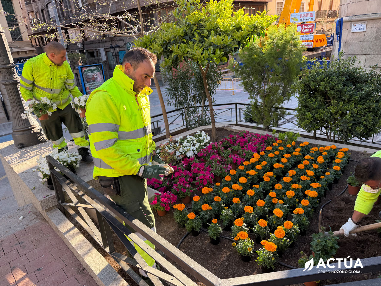 Yecla se viste de primavera con una espectacular cobertura de flores en la plaza de España Yecla se viste de primavera con una espectacular cobertura de flores en la plaza de España