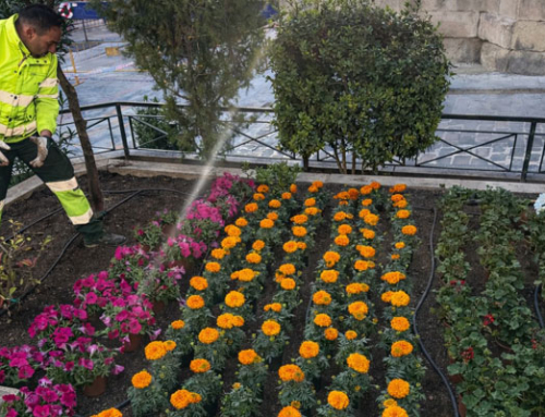 Yecla se viste de primavera con una espectacular cobertura de flores en la plaza de España