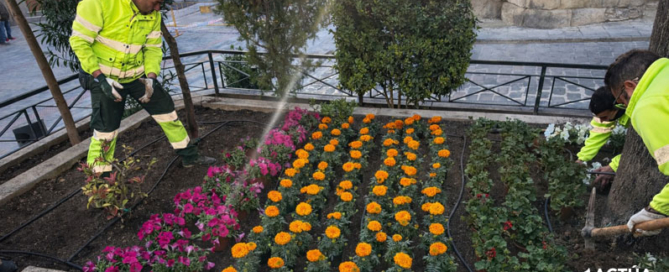 Yecla se viste de primavera con una espectacular cobertura de flores en la plaza de España
