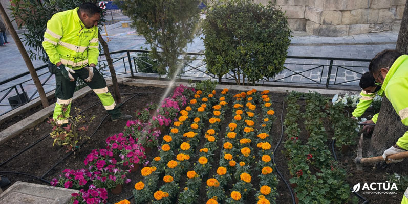 Yecla se viste de primavera con una espectacular cobertura de flores en la plaza de España
