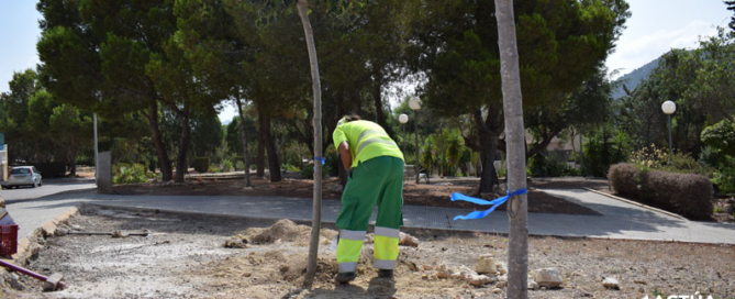 Cartagena renueva el arbolado deteriorado en distintos puntos del municipio