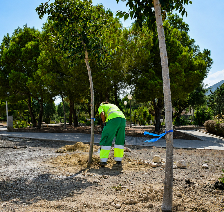 Cartagena suma más de 400 nuevos árboles en el primer semestre del año