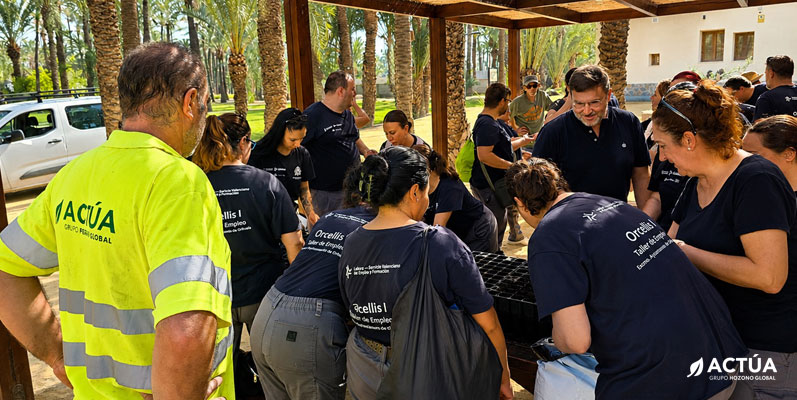 Actúa siembra nuevas palmeras a partir de huesos de dátil en el Palmeral de Orihuela