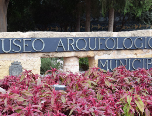 El Museo Arqueológico de Cartagena reabre sus puertas con unos jardines renovados