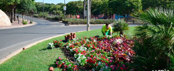Más de 12.000 plantas vestirán Cartagena para la llegada de Carthagineses y Romanos