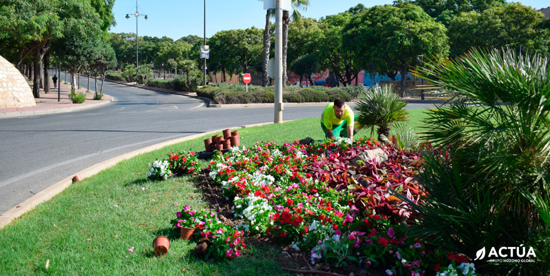 Más de 12.000 plantas vestirán Cartagena para la llegada de Carthagineses y Romanos